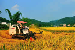 农药行业有望步入良性发展轨道